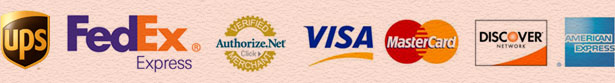 Payment Gateway